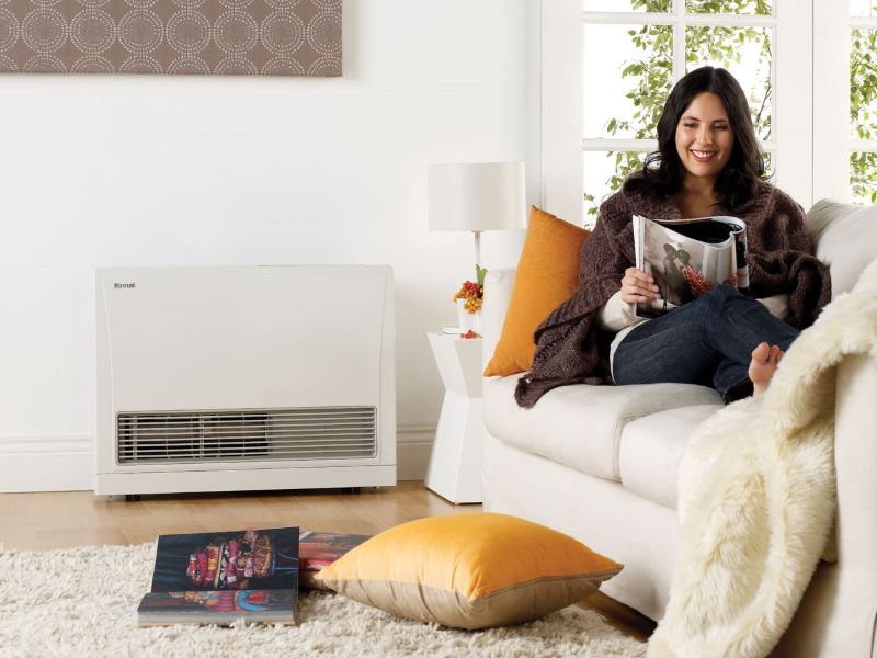 Rinnai Spacesaver Gas Heater Installed In Living Room