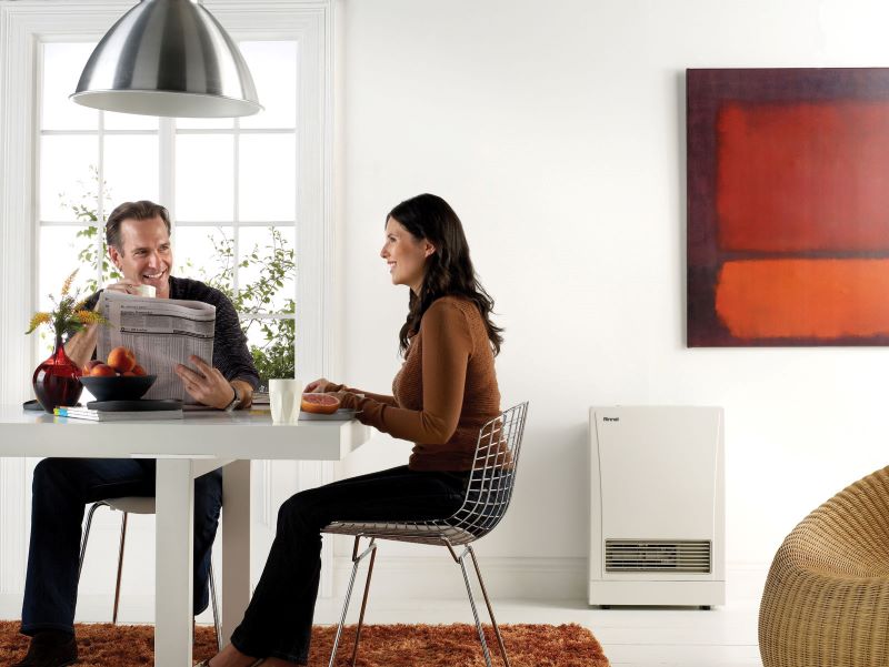 Slim-style Rinnai Energysaver Gas Space Heater Can Fit Into Narrow Areas And Save On Floor Space