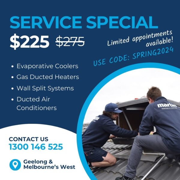 2024 Spring service special